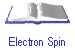 Electron Spin
