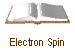 Electron Spin
